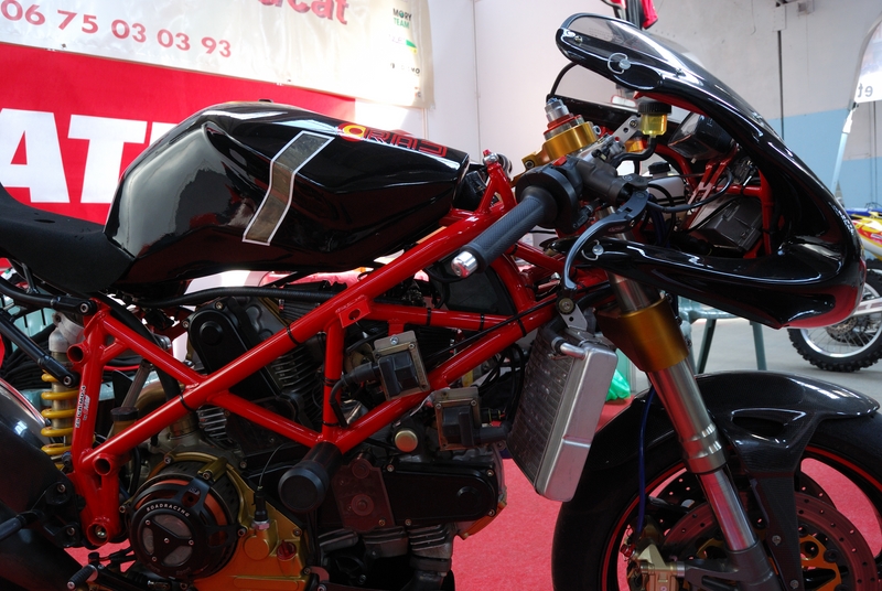 Puce_Niort_2009_072 [800x600].jpg
